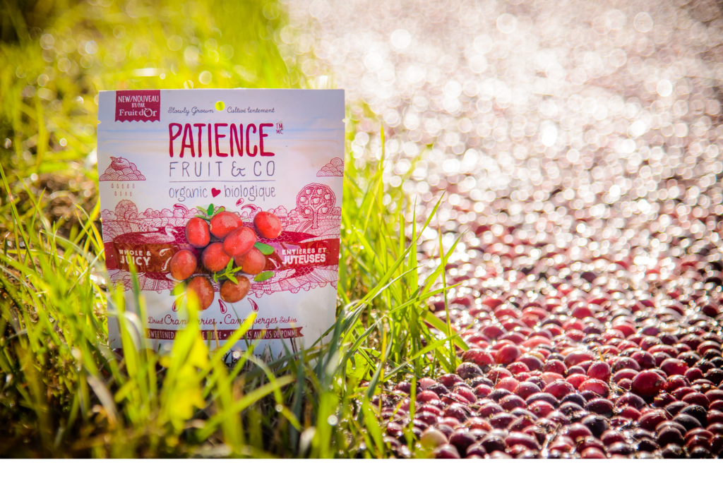 the-little-story-of-patience-patience-fruit-co